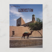 Carte Postale Camel à Khiva Ouzbékistan (Devant)