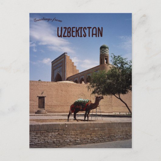 Carte Postale Camel à Khiva Ouzbékistan (Devant)
