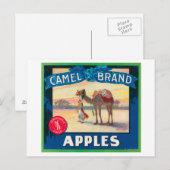 Carte Postale Camel Apple Étiquette - État de Washington (Devant / Derrière)