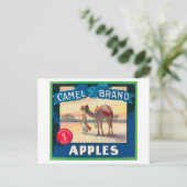 Carte Postale Camel Apple Étiquette - État de Washington (Debout devant)
