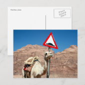 Carte Postale camel bosse jordan (Devant / Derrière)
