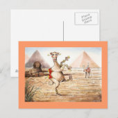Carte Postale Camel Dance Postcard (Devant / Derrière)