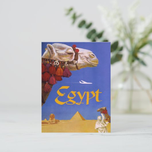 Carte Postale Camel d'Égypte (Debout devant)