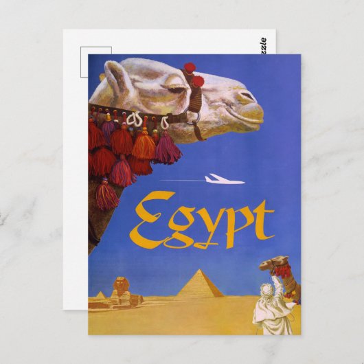 Carte Postale Camel d'Égypte (Devant / Derrière)