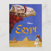 Carte Postale Camel d'Égypte (Devant)
