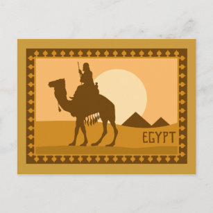Carte Postale Camel Égypte