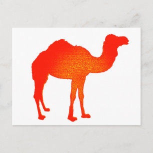 Carte Postale Camel en rouge
