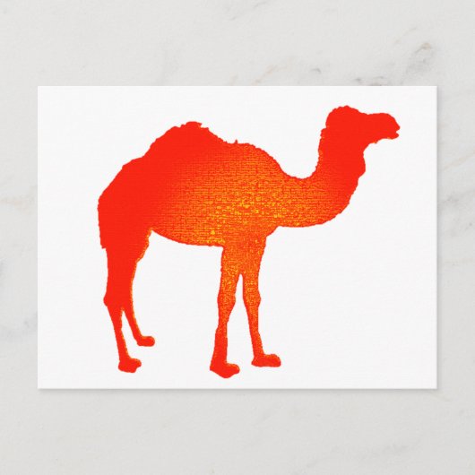 Carte Postale Camel en rouge (Devant)