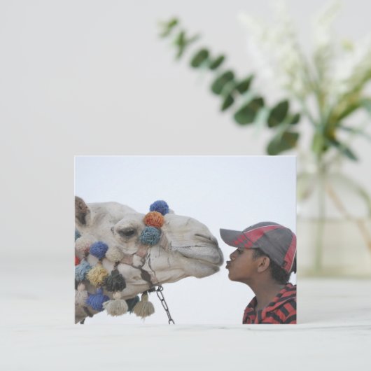 Carte Postale Camel et garçon (Debout devant)