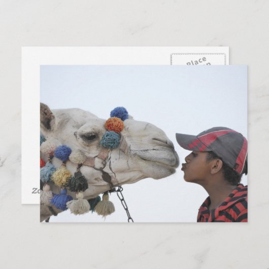 Carte Postale Camel et garçon (Devant / Derrière)