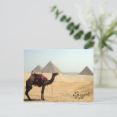 Carte Postale camel pyramid (Debout devant)