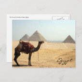 Carte Postale camel pyramid (Devant / Derrière)