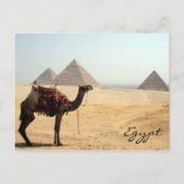 Carte Postale camel pyramid (Devant)