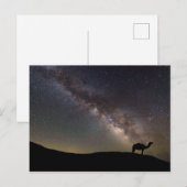 Carte Postale Camel Silhouette et Milkyway (Devant / Derrière)
