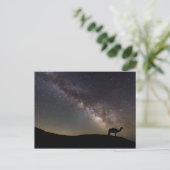 Carte Postale Camel Silhouette et Milkyway (Debout devant)