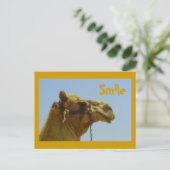Carte Postale Camel souriant en profil (Debout devant)