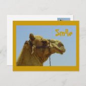 Carte Postale Camel souriant en profil (Devant / Derrière)