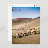 Carte Postale Camel Train de Lanzarote (Devant / Derrière)