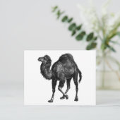 Carte Postale Camel vintage (Debout devant)