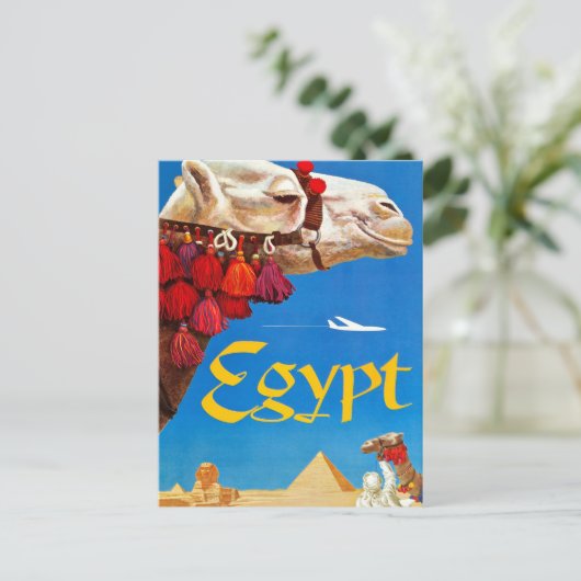 Carte Postale Camel vintage et Pyramides (Debout devant)
