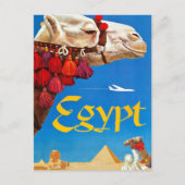 Carte Postale Camel vintage et Pyramides (Devant)