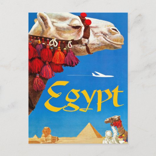 Carte Postale Camel vintage et Pyramides (Devant)