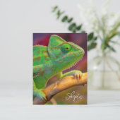 Carte Postale Caméléon Vert (Debout devant)