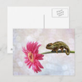 Carte Postale Caméléon vert à fleur rose (Devant / Derrière)