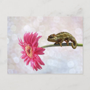 Carte Postale Caméléon vert à fleur rose