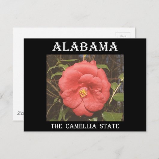 Carte Postale Camélia de l'Alabama (Rouge) (Devant / Derrière)