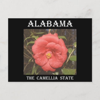 Carte Postale Camélia de l'Alabama (Rouge)