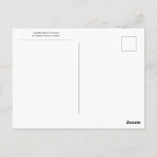 Carte Postale Camelia Giardino Santarel par Charles Lemaire (Dos)