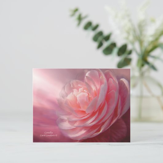 Carte postale Camellia (Debout devant)