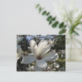 Carte Postale Camellia Blosson (Debout devant)