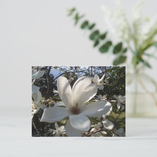 Carte Postale Camellia Blosson (Debout devant)