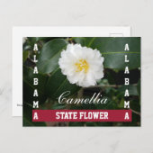 Carte postale Camellia Fleur de l'Alabama (Devant / Derrière)