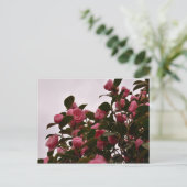 Carte Postale Camellia flowers (Debout devant)