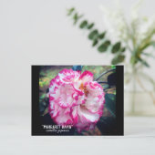 Carte Postale Camellia Japonica Fleur Rose (Debout devant)