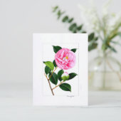 Carte Postale Camellia Plate: Hanafuki (Debout devant)