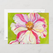 Carte Postale Camellia rose et blanc sur Lime Green (Devant / Derrière)