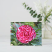 Carte Postale Camellia rouge (Debout devant)