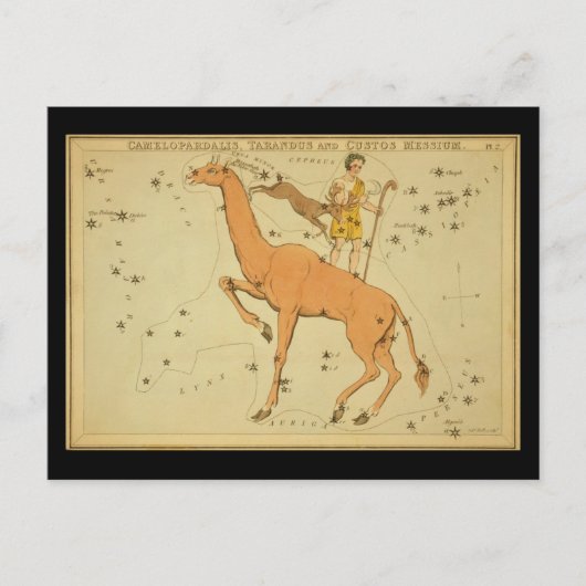 Carte Postale Camelopardalis, Tarandus et Custos Messie (Devant)