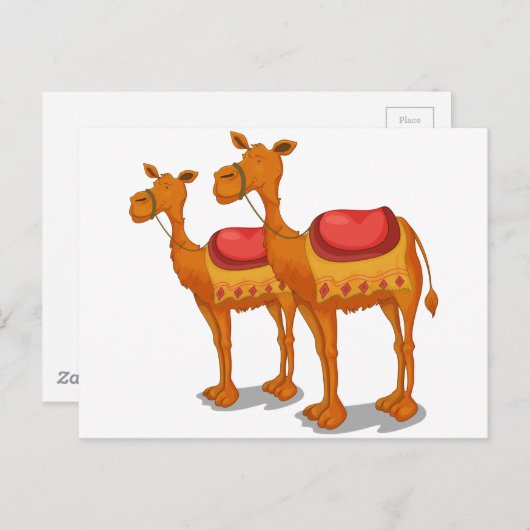 Carte Postale Camels (Devant / Derrière)