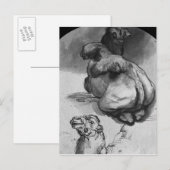 Carte Postale Camels (Devant / Derrière)