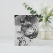 Carte Postale Camels (Debout devant)