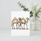 Carte Postale Camels (Debout devant)