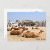 Carte Postale Camels à Doha (Devant / Derrière)