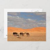 Carte Postale Camels dans le désert du Sahara (Devant / Derrière)