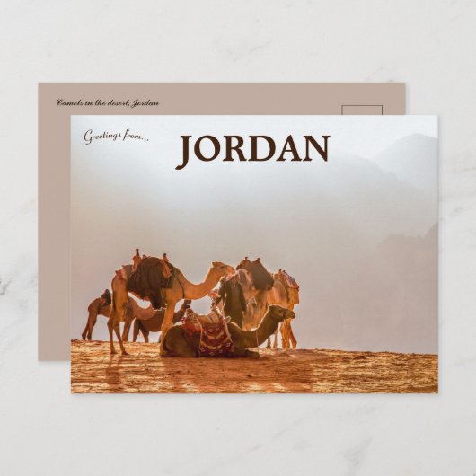 Carte Postale Camels dans le désert en Jordanie (Devant / Derrière)
