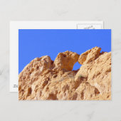 Carte Postale Camels de baiser (Devant / Derrière)